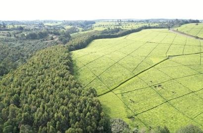 Prime 5 Acres of Land for Sale Along Kayunga Road – UGX 750 Million