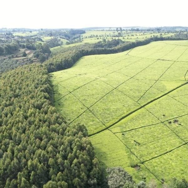 Prime 5 Acres of Land for Sale Along Kayunga Road – UGX 750 Million