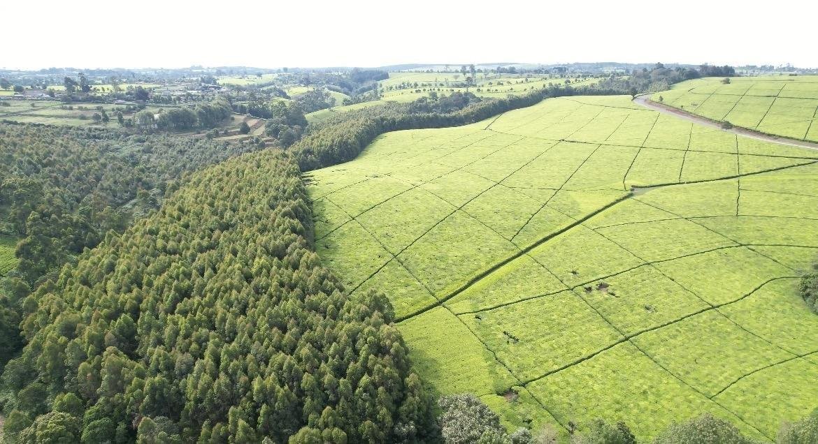 Prime 5 Acres of Land for Sale Along Kayunga Road – UGX 750 Million