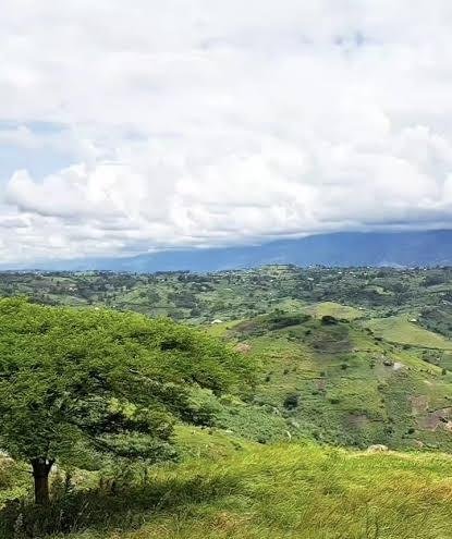 Prime 5 Acres of Land for Sale Along Kayunga Road – UGX 750 Million