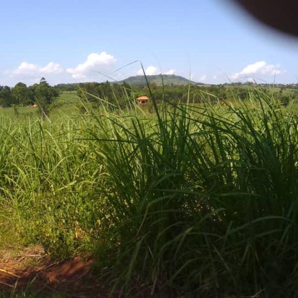 2 Acres of Land for Sale in Nakabango, Jinja