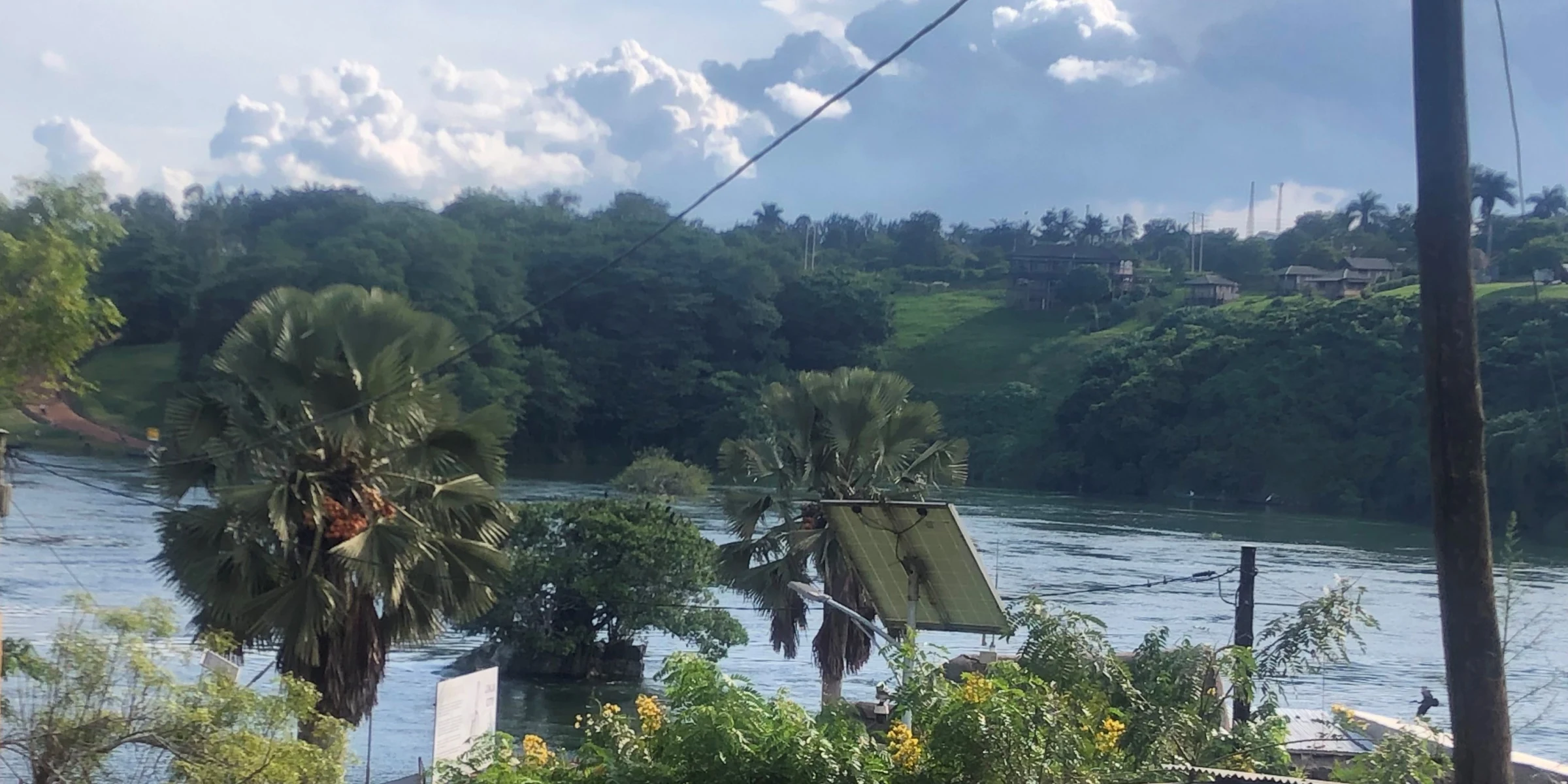 Palms on the Nile at Jinja